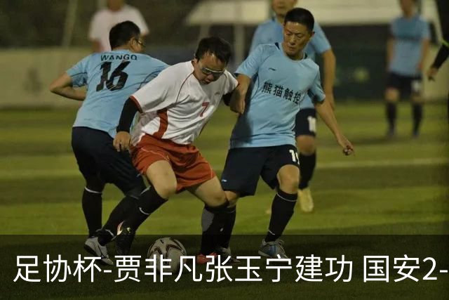 足协杯-贾非凡张玉宁建功 国安2-1大连可为晋级8强